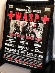 wasp red cross
